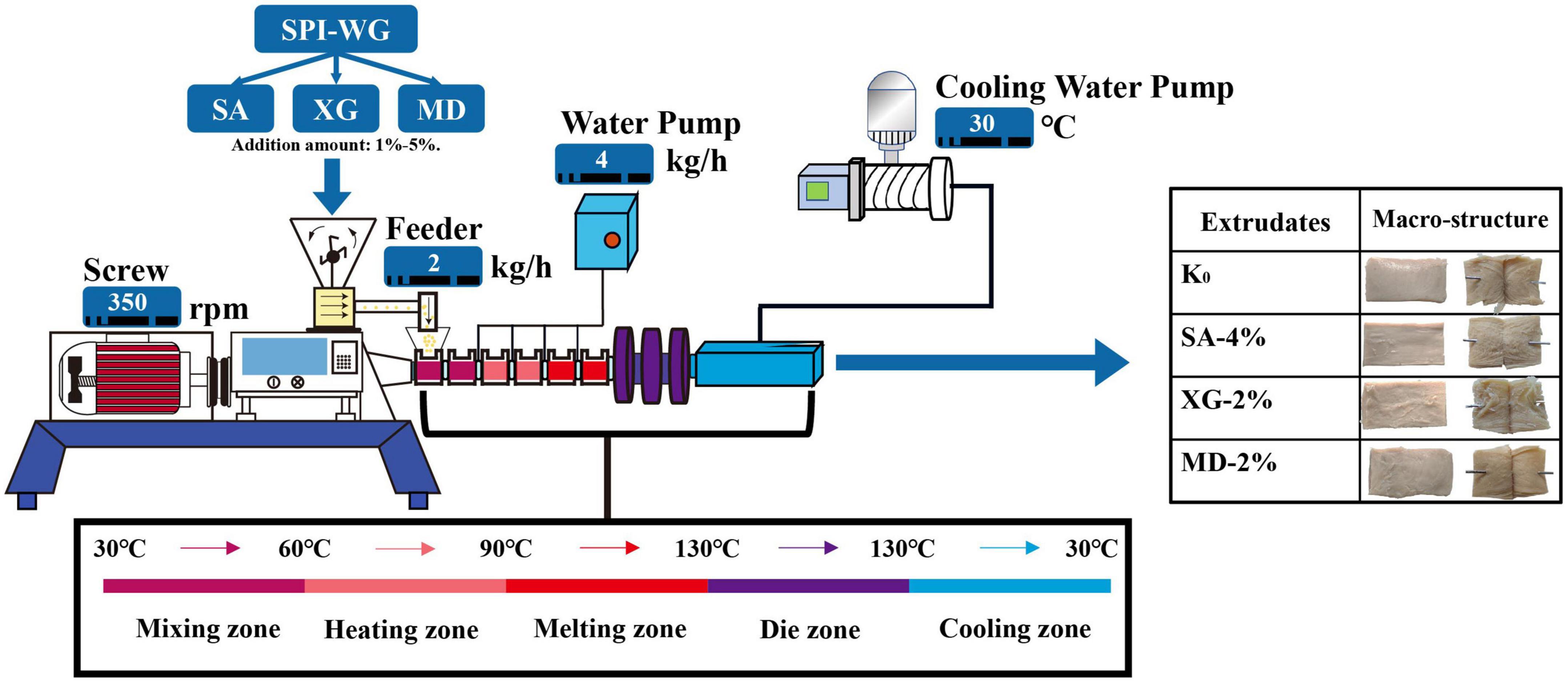 High-moisture extrusion cooking on soybean-wheat protein mixtures: Effect of sodium alginate/xanthan gum/maltodextrin on promoting a fibrous structure